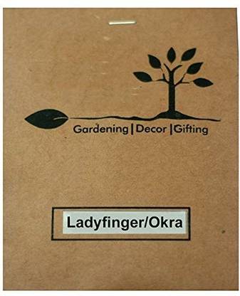 VibeX LX-98 - Organic Desi Okra Varsha - (450 Seeds) Seed