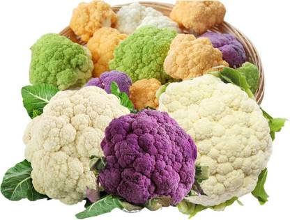 Biosnyg ™GUA-88 Non-GMO Mix Cauliflower Seed