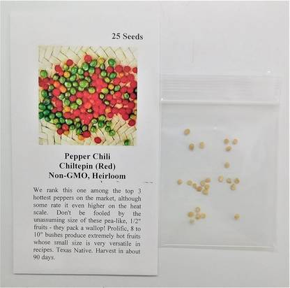 WILLVINE VVI-844 Pepper Chilli Chiltepin Red Seeds Seed