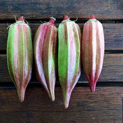 Biosnyg ®HUA-247 Double Color Okra Seed Price in India - Buy Biosnyg ...