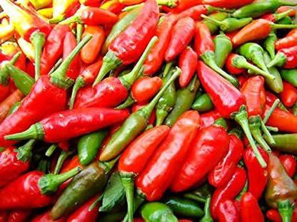 VibeX ® LXI-24 Heirloom Non-GMO, Tabasco Type, Spicy Chilli Seeds Seed