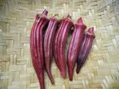 Biosnyg ®IACR-503 Okra Burgundy Red Seed