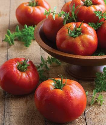 VibeX HUA-99 - Big Daddy' Slicing Tomato - (150 Seeds) Seed