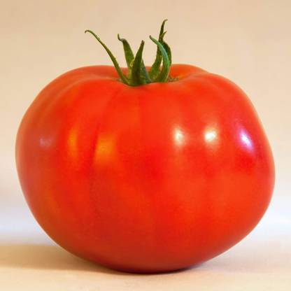 Biosnyg ®PUSA-954 Tomato - Caribe Seed