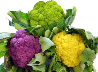 VibeX ® LXI-15 Heirloom 4 Varieties Purple Green Yellow Cauliflower Seed