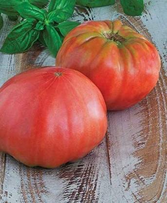 WILLVINE LX-969 Heirloom Tomato Seeds - 'Brandywine Black'-1000 Seeds Seed