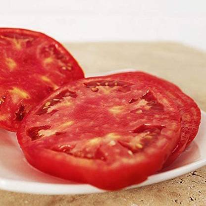 VibeX ® XXL-340 Big Yummy Hybrid Seed