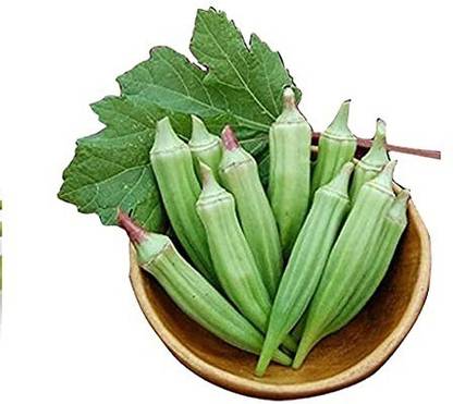 Biosnyg ™GUA-386 Native White broad Okra Seed