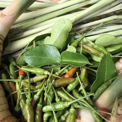 CYBEXIS XLL-52 - Thai Bird's Eye Chili Peppers - (450 Seeds) Seed