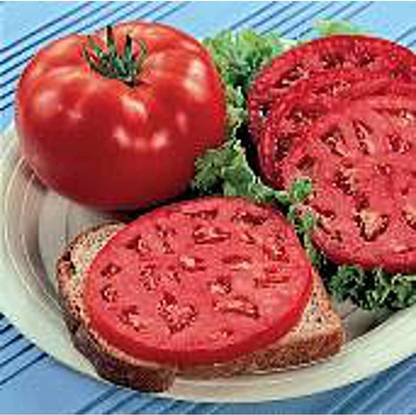 Biosnyg ™VAR-143 Whopper Improved Tomato Seed
