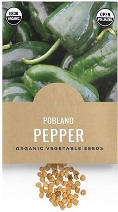 Biosnyg Poblano Chilli Seed