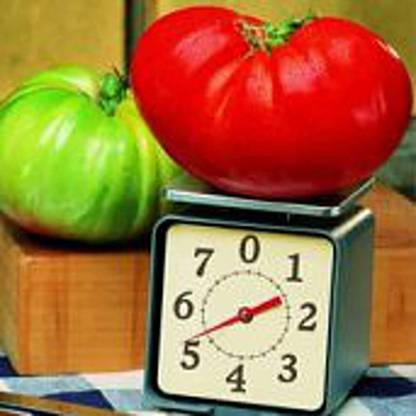VibeX ® VLR-636 Big Zac Tomato Seeds Seed