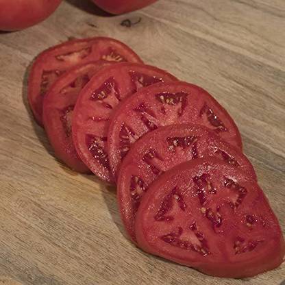 WILLVINE PAU-369 Season Starter Hybrid Tomato Seeds-1000 Seeds Seed