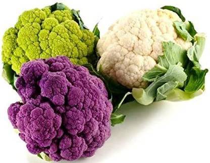 VibeX XLR-74 - Colorful Cauliflower Mix of 5 Varieties - (450 Seeds) Seed