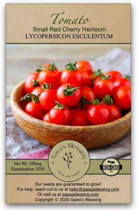 CYBEXIS ATS-16 - Tomato - Small Red Cherry - (150 Seeds) Seed
