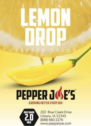 WILLVINE NDIR-908 Aji Lemon Chilli Seeds Seed