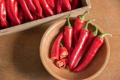 VibeX TLX-75 - Pepper Fire Hot Long Red Chilli - (150 Seeds) Seed