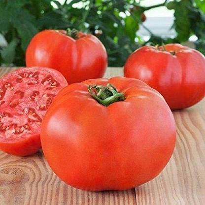 Biosnyg ™XLL-829 Bonny Best Tomato Seed