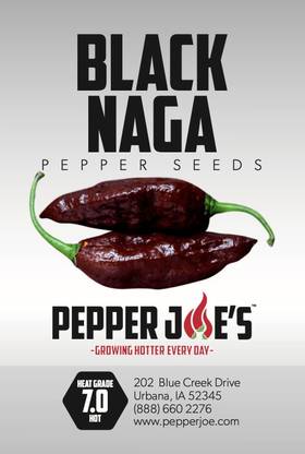 WILLVINE XLL-892 Superhot Black Naga Chilli Seeds Seed