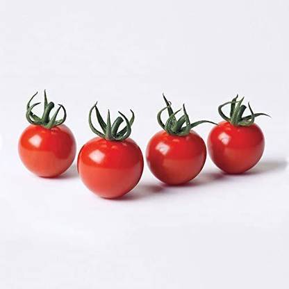 VibeX ® XLR-540 Braveheart Hybrid Cherry Tomato Seeds Seed