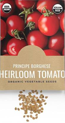 CYBEXIS LX-64 - Princinpe Borghese Tomato - (450 Seeds) Seed