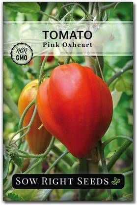 VibeX LXI-39 - Oxheart Pink Tomato - (150 Seeds) Seed