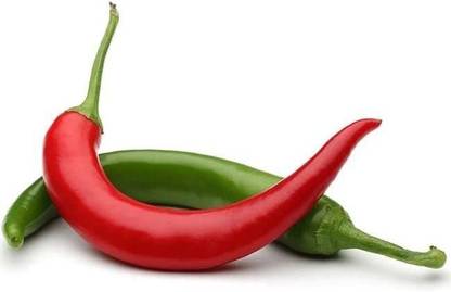WILLVINE KGF -894 Kung Pao Pepper Chilli Seeds Seed