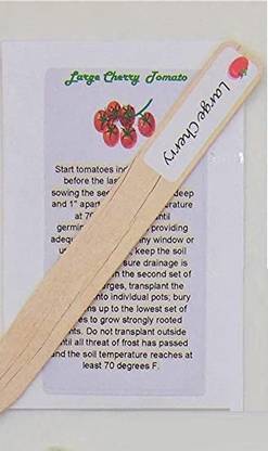 Biosnyg ™ICAR-893 Large Cherry Tomato Seed