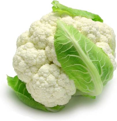 CYBEXIS XL-29 - Self Blanching Cauliflower - (450 Seeds) Seed
