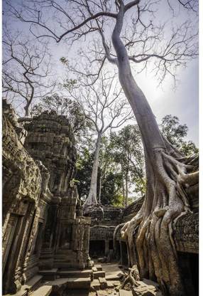 Pitaara Box Ancient Temples Of Ta Phrom, Angkor Wat, Cambodia Framed Wall Art Painting Print Canvas 21 inch x 14 inch Painting