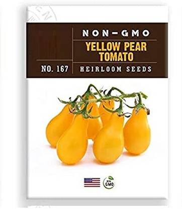 VibeX ® XXL-452 Yellow Pear Tomato Seed