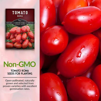 CYBEXIS VXI-2 - Roma Tomato - (150 Seeds) Seed