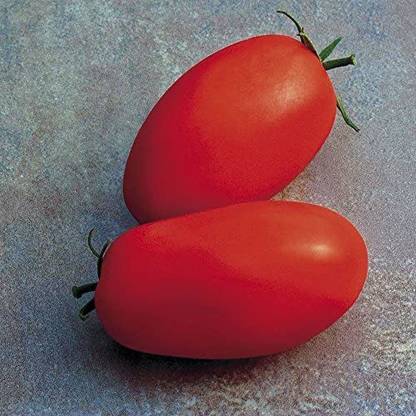 Biosnyg ™VXI-431 Supremo Tomato Seed