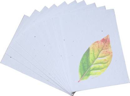 Seed Paper 100% Biodegradable Premium Plantable, Unprinted, Wedding Cards Invitation Card