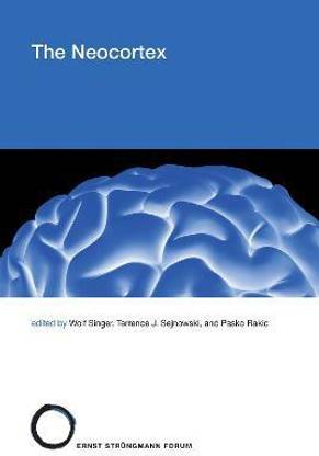 The Neocortex