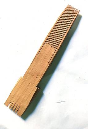 KGR Splash Wooden Dust Lice Clean Remove Fine Tooth Eeroli Pack of 1