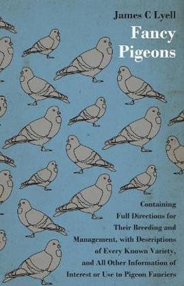 Fancy Pigeons