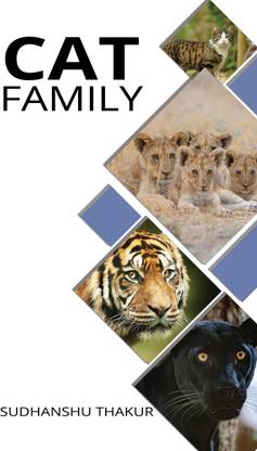 Cat Family