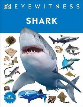 Eyewitness Shark