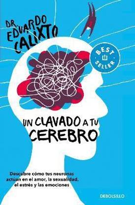 Un clavado a tu cerebro / Take a Dive Into Your Brain