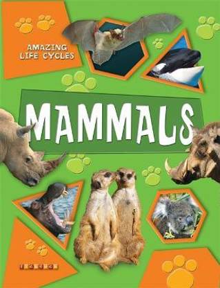 Amazing Life Cycles: Mammals