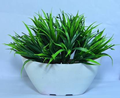 BKD Plant Container Set