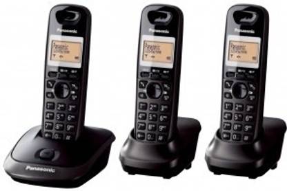 Panasonic KX-TG 2513 Cordless Landline Phone