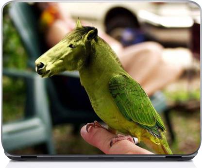 Holicshop Funny Looking Animals Vinyl Laptop Skin Compatible for 15.6 inch