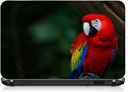 VI COLLECTIONS FIVE COLOUR PARROT PRINTED VINYL Laptop Skin Compatible for 15.5 inch