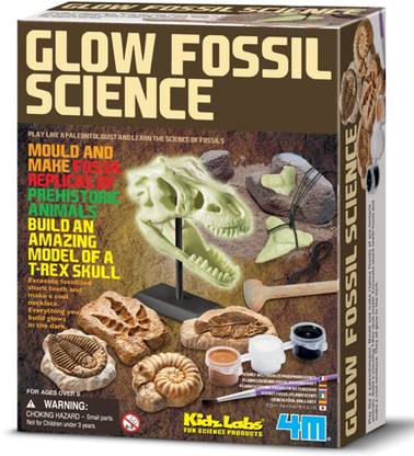 4M Glow Fossil Science