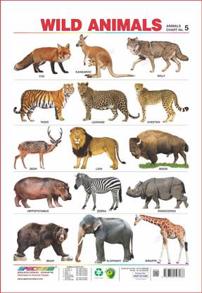 Spectrum Wild Animals
