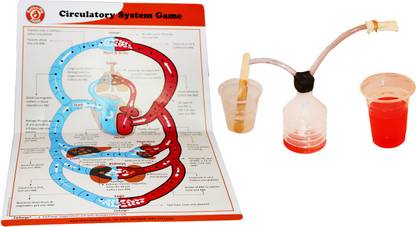 Butterfly FIelds Transportation in animals and plants - Science Project Kit, Science Workbook