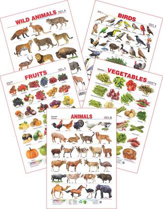 Spectrum Set of 5 Educational Wall Charts (Wild Animals, Birds, Assorted Fruits 1, Vegetables 1 & Domestic Animals)