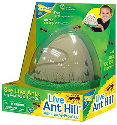 Insect Lore Ant Farm Viewing Habitat Escape Proof Ant Hill Kit Includes Sand And Activity